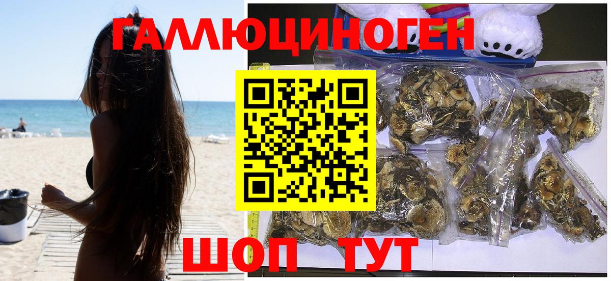 Псилоцибиновые грибы Cubensis Узловая